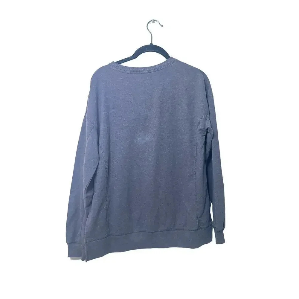 Wildfox Rainbow Lightweight Pullover Size XS Oversized Tunic NWT Crewneck - Picture 2 of 7